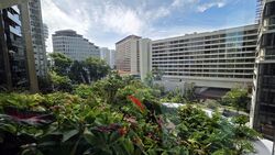 Hana (D10), Condominium #501335821